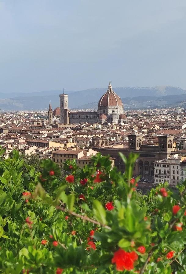 Small Camp Il Poggetto Troghi Bagian luar foto